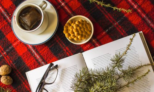 Christmas Book Club: A festive take on the ICO's Internal AI Use Policy